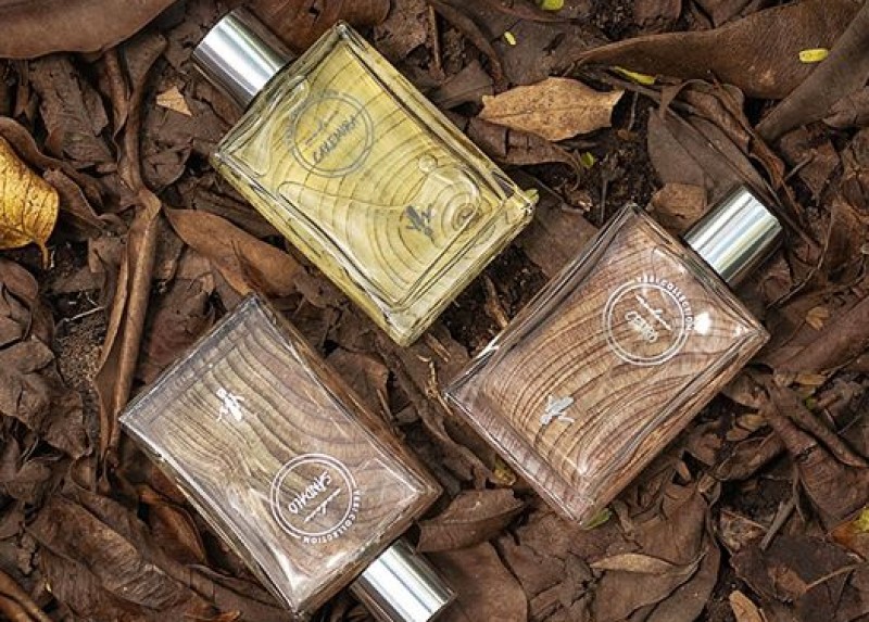 perfumes masculinos bons e baratos cedro